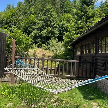 Appartement володимирська
