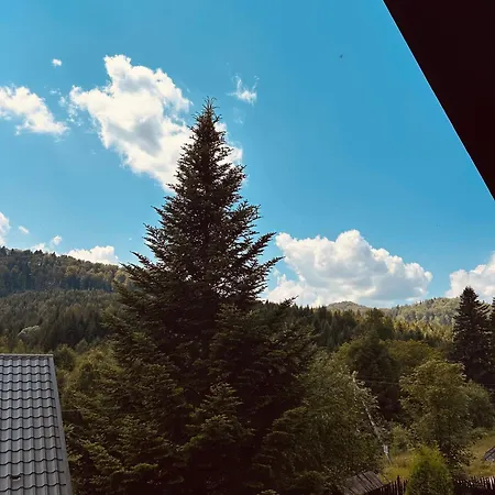 Appartement володимирська Myhove